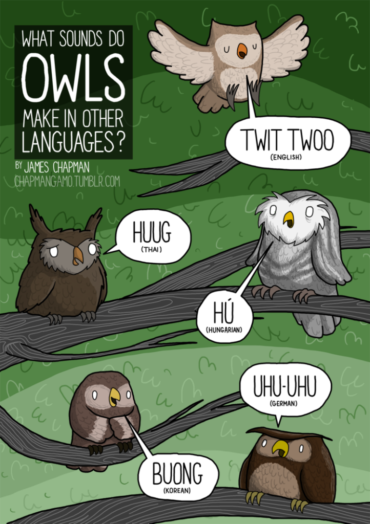 Owl noises around the world