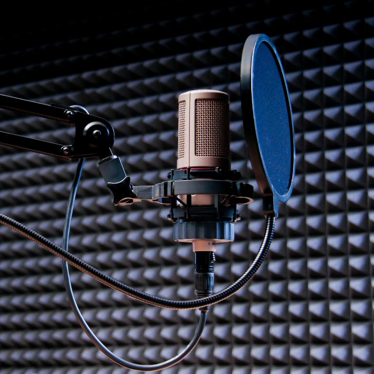 studio microphone and a pop shield